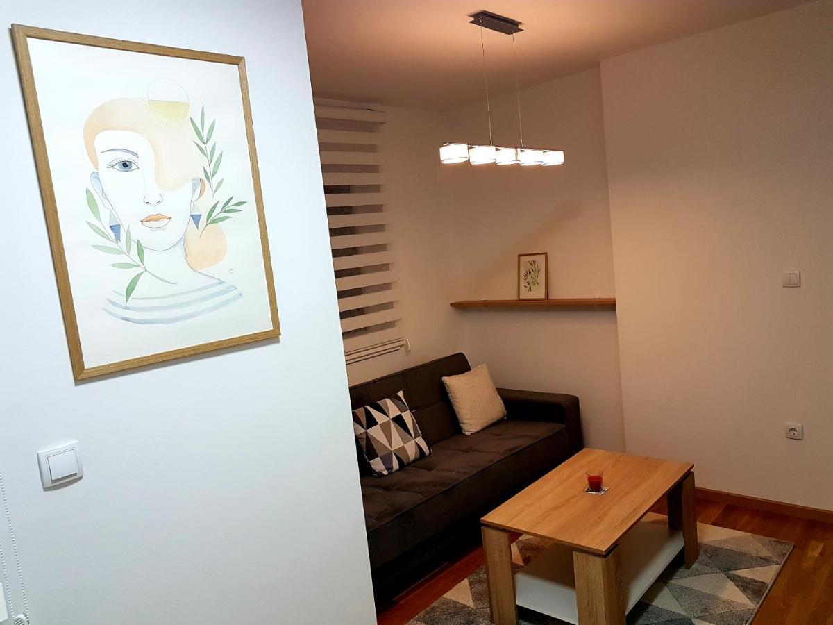 Apartman Istra, ドボイ エクステリア 写真